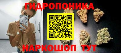 ПСИЛОЦИБИНОВЫЕ ГРИБЫ Партизанск