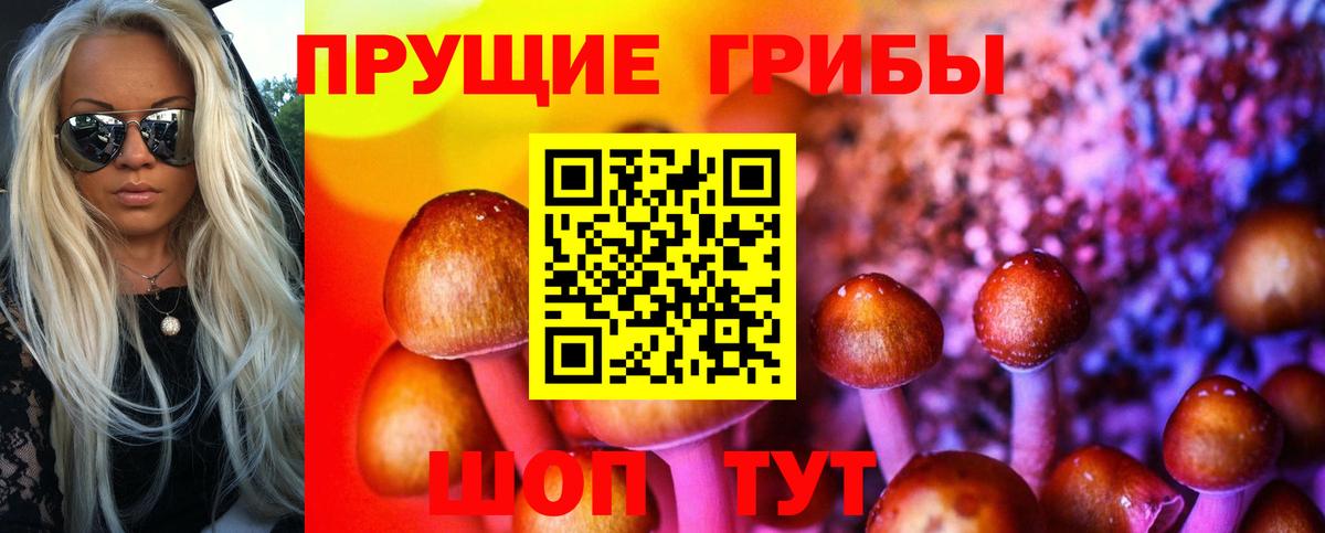 Галлюциногенные грибы Psilocybine cubensis Советская Гавань